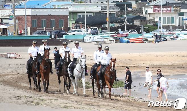 제주도자치경찰단 기마대가 이호테우해수욕장에서 순찰활동을 전개하고 있다.  ⓒ News1 강승남 기자