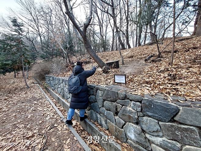 강승희씨가 고양이들이 숨진 채 발견된 장소를 가리키고 있다. 고양이들이 숨진 장소는  평소 추위를 피하기 위해 임시로 만든 겨울집 근처인데, 일부러 담을 올라가지 않으면 닿기 어려운 곳에 있었다. 전현진 기자