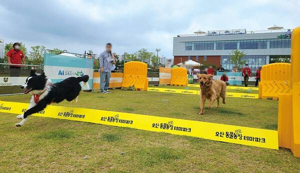 온라인 커뮤니티