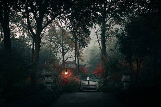 영복사의 새벽은 아만파윤 투숙객의 특권이다. 오로지 아만파윤 투숙객만 영복사의 새벽 예불에 참여할 수 있기 때문이다. 이곳저곳에서 빗자루로 낙엽 훔치는 소리가 들려온다. 뿌옇게 낀 물안개는 서늘하다