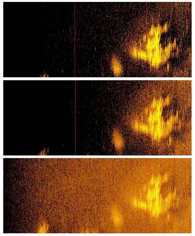 29일에 공개된 딥씨 비전의 소나 사진. 딥씨 비전은 이 물체가 1937년 세계일주 도전 중에 실종된 아멜리아 이어하트의 록히드 10-E 일렉트라로 추정된다고 주장하고 있다. 딥씨 비전 제공 AFP 연합뉴스
