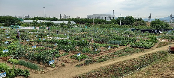 수성구가 운영하는 공영도시농업농장 전경 [사진=수성구]