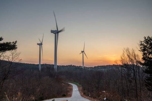 풍력발전기 사이 저녁노을이 아름다운 경주풍력발전단지.