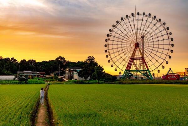 당진 가볼만한 곳 추천 / 온라인 커뮤니티