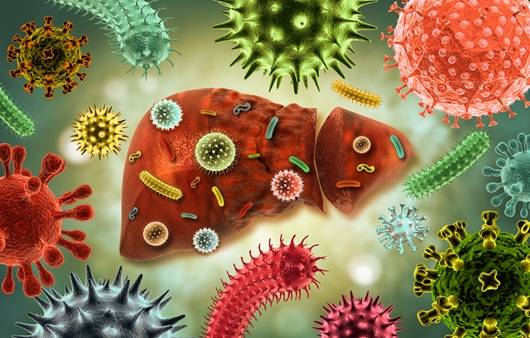 매년 2월 2일은 감암의 날이다ㅣ출처: 게티이미지뱅크