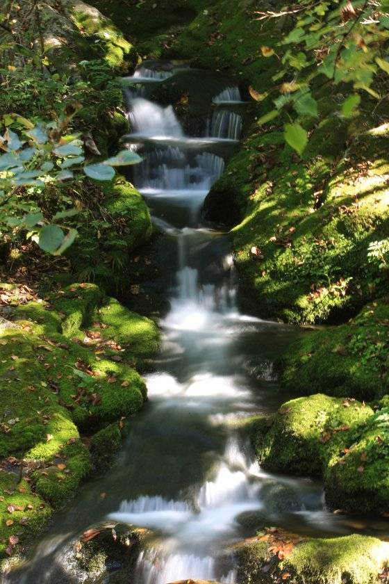 한강 발원지 강원도 태백 검룡소. 국가지질공원 지질 명소로 지정됐다. 중앙포토