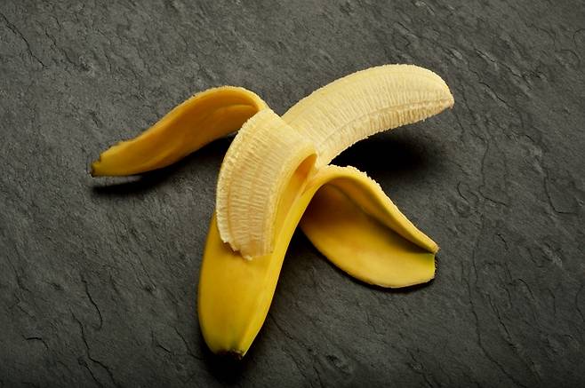 기사의 이해를 돕기 위한 자료 사진. /사진=게티이미지뱅크