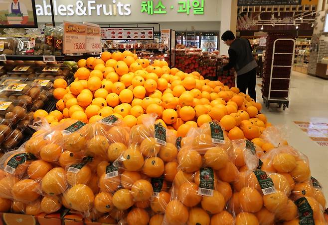 28일 서울의 한 대형마트에 수입 과일인 오렌지가 진열돼 있다. [연합]