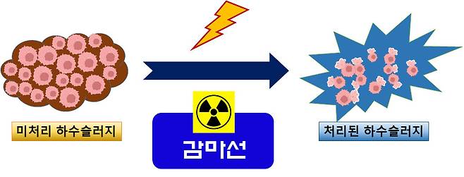 하수슬러지를 감마선으로 분해하면 슬러지 내 미생물 세포가 파괴돼 미생물이 갖고 있는 수분과 영양분을 외부로 용출시킨다. 하수슬러지의 부피와 무게가 줄어들고 용출액에는 탄소성분과 비료성분이 증가하게 된다.[한국원자력연구원 제공]