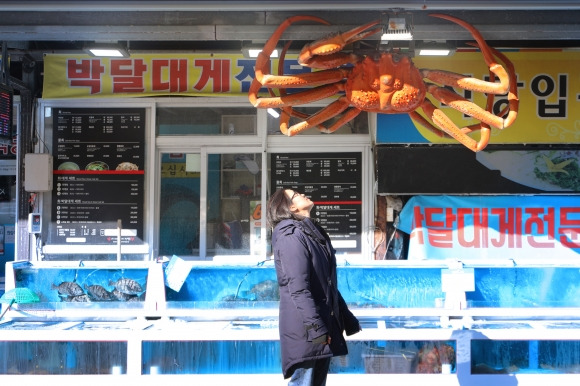 정보라 작가와 대게 모형 - 신작 ‘지구 생물체는 항복하라’로 돌아온 정보라 작가가 포항 죽도시장에 있는 한 대게 모형을 올려다 보고 있다. 정보라는 서울신문과의 전화 인터뷰에서 “포항에서 나고 자란 남편은 매일같이 해산물을 대량으로 먹어 치운다”며 웃었다. ⓒ정혜란. 래빗홀 제공