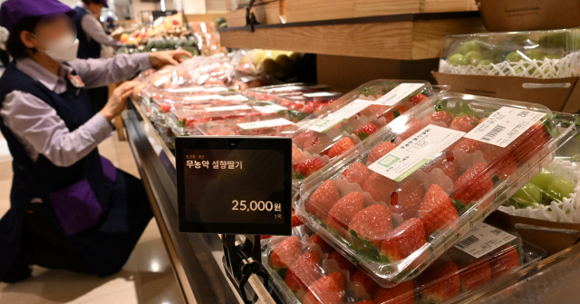 작년 12월 10일 서울 시내 한 백화점에 딸기 상품이 진열돼 있다. 딸기 출하 물량이 지난해보다 감소하면서 가격이 치솟았다. /권욱 기자