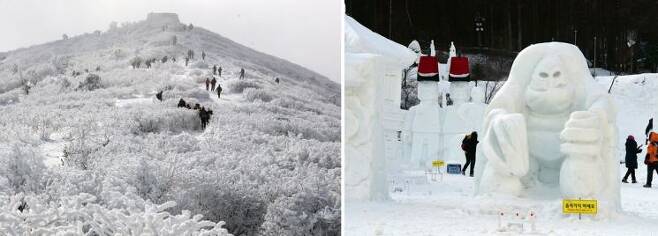 태백산 눈꽃(왼쪽)과 이번주에 막을 내리는 태백 눈꽃축제장(오른쪽). 축제장의 조각품은 눈이 녹을때까지 볼수 있다