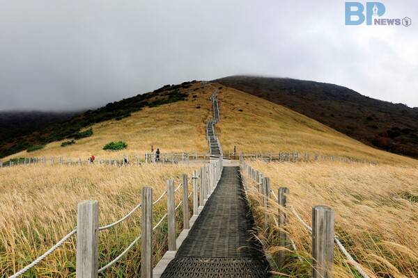 출처 = 게티이​미지뱅크