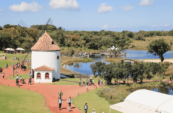 온라인 커뮤니티