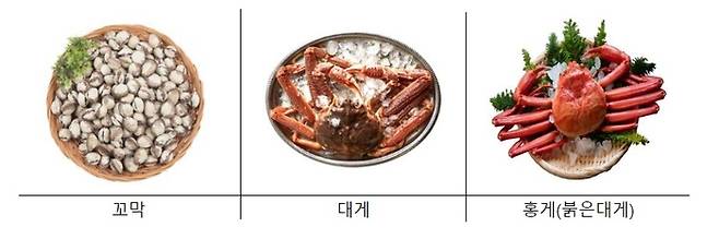 꼬막 대게 홍게 / 사진 = 해양수산부