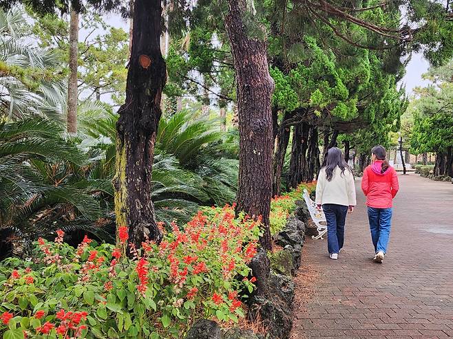 한림공원 샐비어 꽃길을 걷고 있는 여행자들