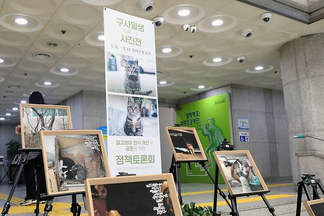 지난 31일 대구 달서구의회는 길고양이 사진전 ‘구사일생’과 길고양이 인식 개선 및 공존을 위한 정책토론회를 열었다. 달서구의회 제공