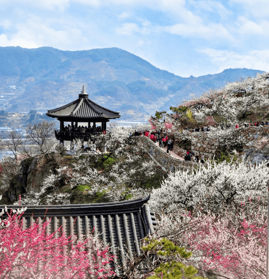 온라인 커뮤니티