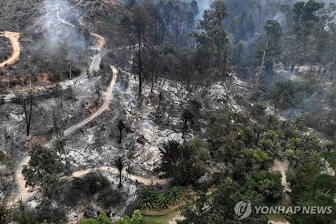 잿더미로 변한 비냐델마르 식물원 (비냐델마르 AFP=연합뉴스) 4일(현지시간) 칠레 비냐델마르 식물원이 화재 피해로 잿더미처럼 변해 있다. 이 식물원은 1951년부터 국립 시설로 관리되고 있다. 2024.2.5