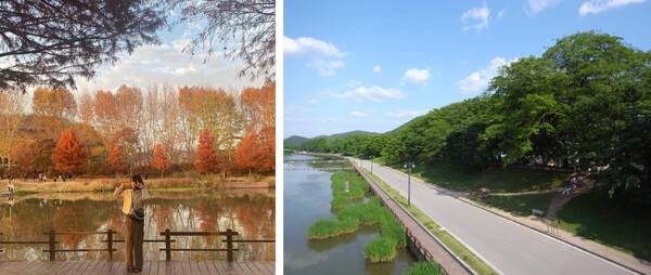 담양 가볼만한곳 추천 /&nbsp;@heyysu_s2 / 온라인 커뮤니티