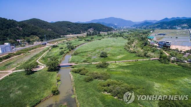 경남 김해시 화포천습지 전경 [김해시 제공. 재판매 및 DB 금지]