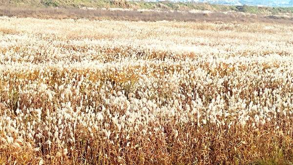 김제 가볼만한곳 추천 / 온라인 커뮤니티