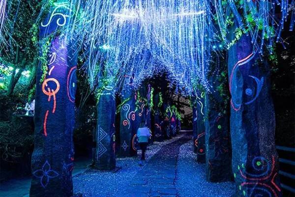 출처 = 온라인 커뮤니티