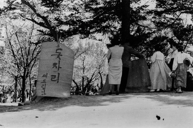 1954년 벚꽃놀이가 한창인 창경원에서 돗자리로 확보해놓은 자리를 파는 모습.