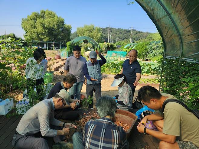 도시농업 활동 모습 [금천구 제공]