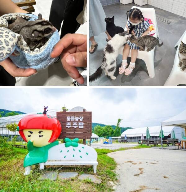 여주 가볼만한 곳 추천 BEST 7 / 온라인 커뮤니티