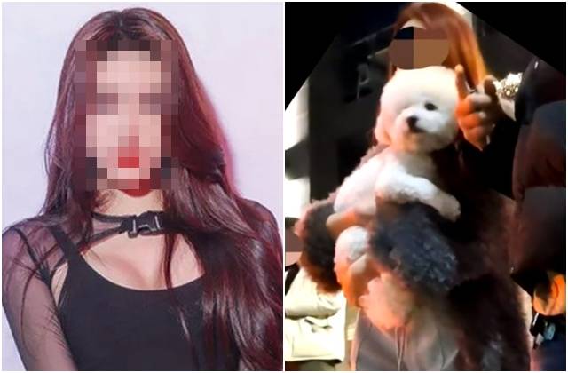 지난 3일 새벽 서울 강남구 논현동에서 발생한 음주운전 사망 사고 이후 강아지를 안고 있는 가해 운전자 안모씨. 왼쪽 사진은 안씨의 평소 모습. SNS, 유튜브 채널 '카라큘라 미디어' 캡처