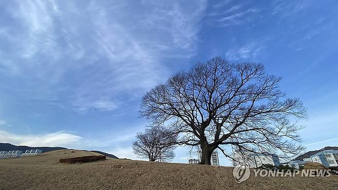 세계유산 김해 대성동고분군 일대 [연합뉴스 자료사진]