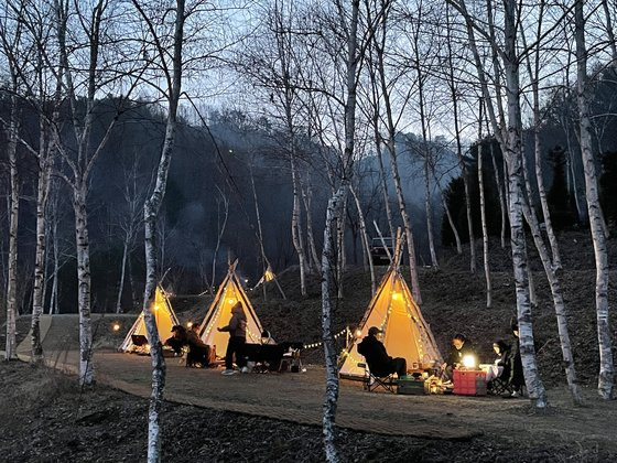 최기순(61) 자연다큐멘터리 감독이 강원도 홍천군 화촌면 구성포리에 만든 숲속 공간 ‘나는 숲이다(I am the forest)’ 모습. [사진 최기순 감독]