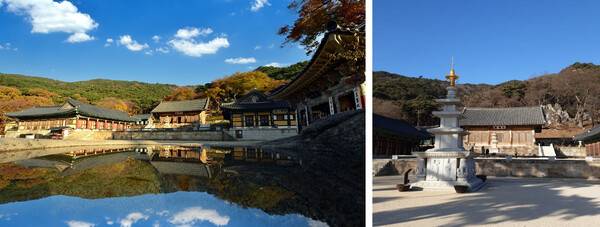 예산 가볼만한 곳 추천 / 온라인 커뮤니티