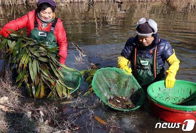 강진 옴천 토하잡이.(강진군 제공) ⓒ News1