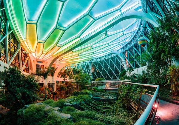 온라인 커뮤니티