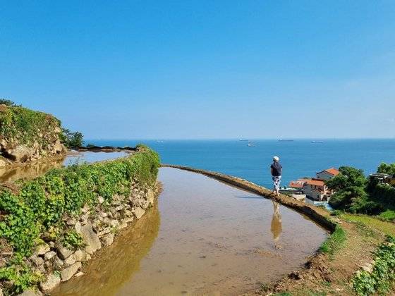 경남 남해군 관광 정보를 소개한 '남해랑, 만남해' 홈페이지에 김모씨가 올린 ″다랭이 논둑을 걷는 女心(여심)″이란 제목의 사진. 사진 남해군