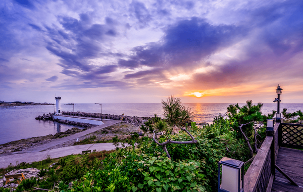 온라인 커뮤니티