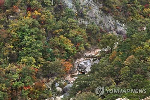 설악산국립공원 주전골. [연합뉴스 자료사진]