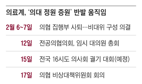 그래픽=조선디자인랩 권혜인