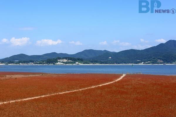 출처: 게티이미지뱅크 (인천 풍경 감상 여행)