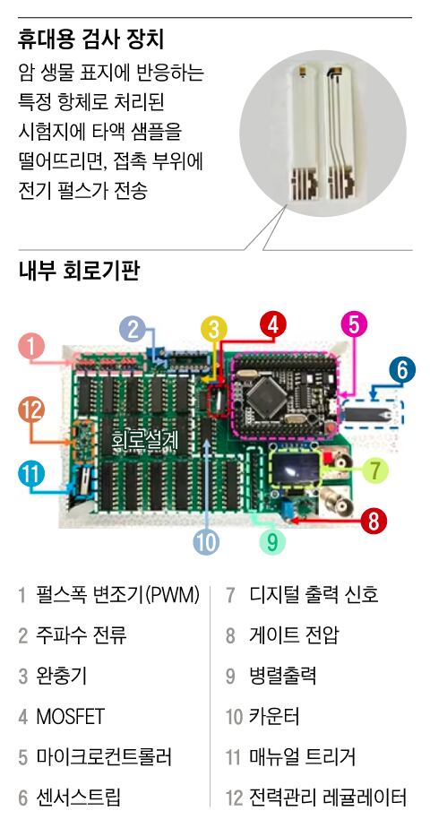 자료=연구진 제공/ 그래픽=조선디자인랩 이민경