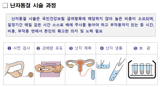 난자동결 시술 과정. <손해보험협회 제공>