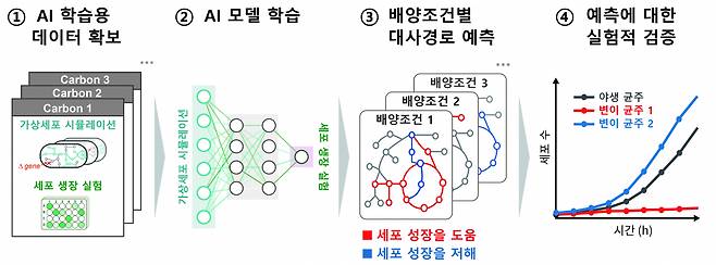 인공지능(AI)을 통한 핵심 대사반응 규명 과정 모식도.[건국대학교 제공]