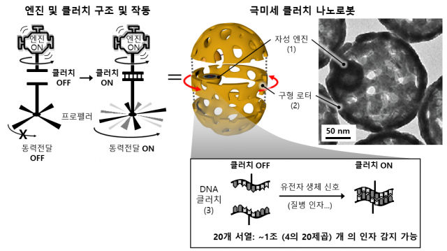 천진우 IBS 단장 연구팀이 개발한 나노로봇이 특정 유전자에 반응해 작동하는 원리. 사진 제공=IBS