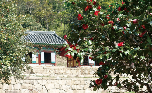 강진 백련사(사진출처=강진군청)