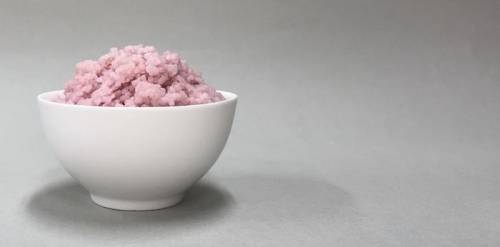 “밥에서 투뿔 꽃등심 맛 나네”…맛·영양 다 잡은 ‘쇠고기 쌀’ 나왔다 [달콤한 사이언스]