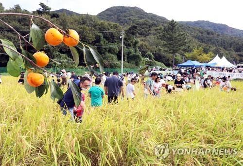 제10회 완주 와일드&로컬푸드축제 모습 [연합뉴스 자료사진]