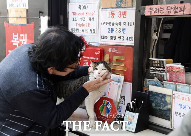김 씨가 간밤에 어디 상한데는 없는지 야웅이의 얼굴을 살피고 있다.