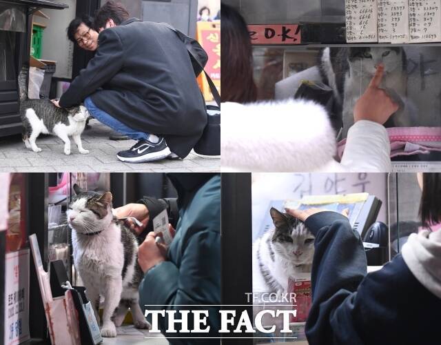 야웅이 복권판매점 직원답게 가게 안과 밖을 오가며 낮부터 저녁까지 손님을 맞이하고 있다.